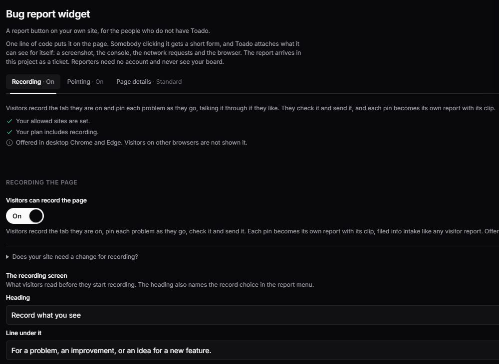 Live widget settings with Recording, Pointing, and Page details tabs and visitor recording enabled
