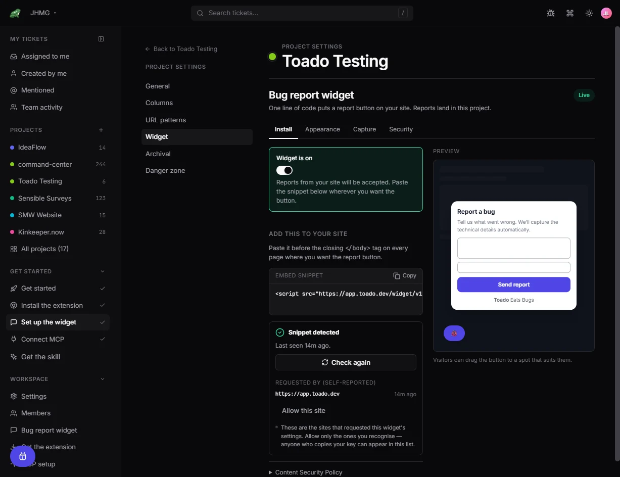 Project widget settings showing installation, snippet detection, approved sites, and a live preview